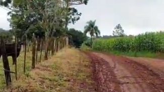 Internauta mostra situação precária das estradas rurais na Colônia Barreiros