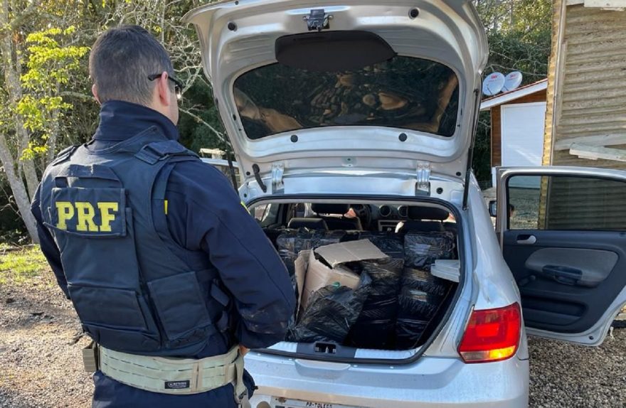 PRF apreende quase 300 quilos de Maconha, em Palmeira
