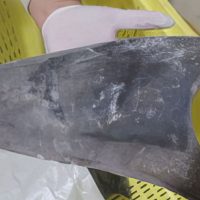 Ibama apreende 28,7 toneladas de barbatanas de tubarão Imagem referente a Ibama apreende 28,7 toneladas de barbatanas de tubarão