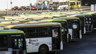 Exame toxicológico para motoristas de ônibus e caminhão tem novo prazo