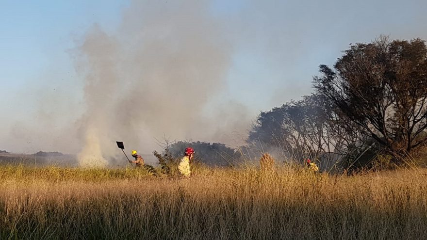 Bombeiros combatem incêndio em vegetação no XIV de Novembro