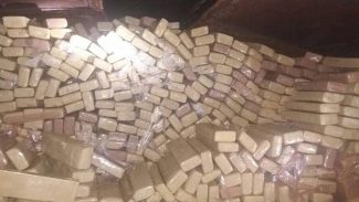 Guerra às drogas custa R$ 15 bilhões por ano em recursos públicos