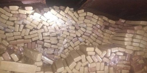 Guerra às drogas custa R$ 15 bilhões por ano em recursos públicos
