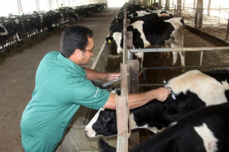 A poucos dias do fim, campanha de atualização de rebanhos alcança 70% das propriedades