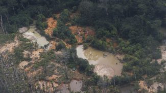 Voos clandestinos em terra yanomami caem 90% após operação especial