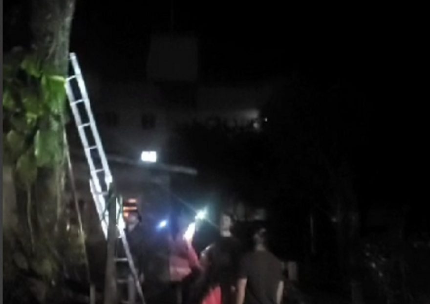 Moradores fazem mutirão para resgatar gato que está há cinco dias preso em árvore