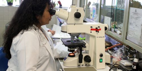 Imagem referente a Prêmio chama atenção para desafios enfrentados por mulheres cientistas