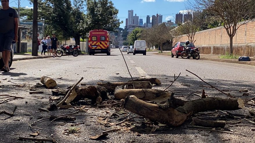 Motociclista é atingido por galho de árvore na Rua Carlos de Carvalho e fica ferido