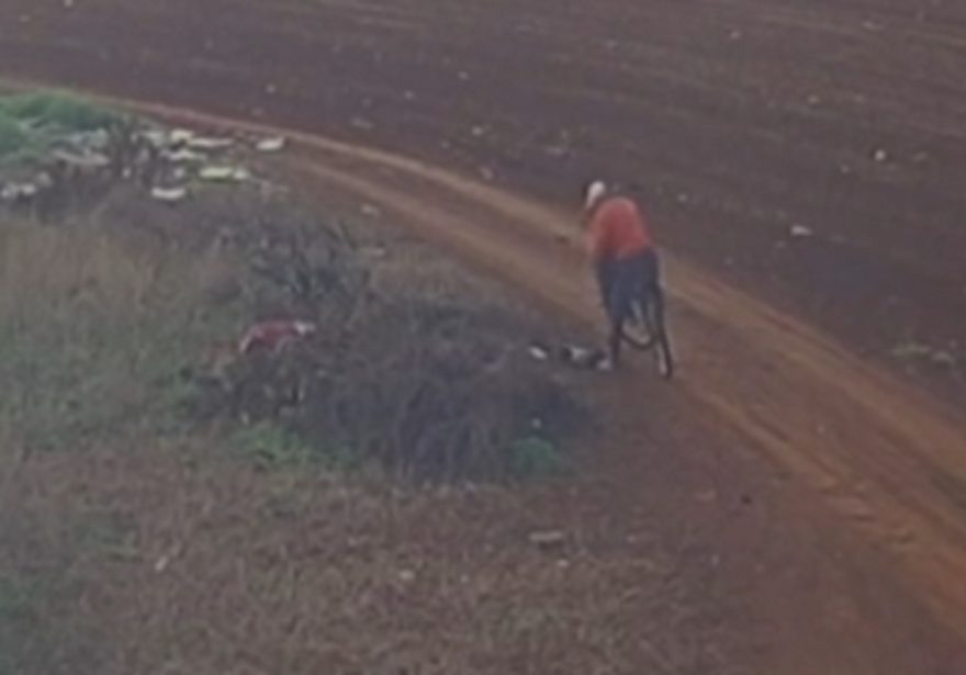 Homem abandona quatro filhotes de cachorro no Cascavel Velho; veja vídeo