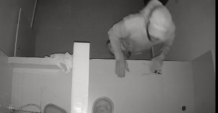 Câmera registra arrombamento a Pet Shop na Rua Fortaleza