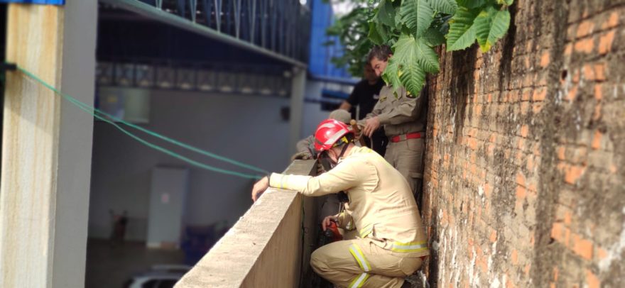 Corpo de Bombeiros é mobilizado para resgatar cachorro que caiu em buraco