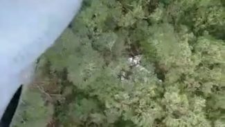 Imagens mostram destroços de avião que caiu na Serra do Mar; veja vídeo
