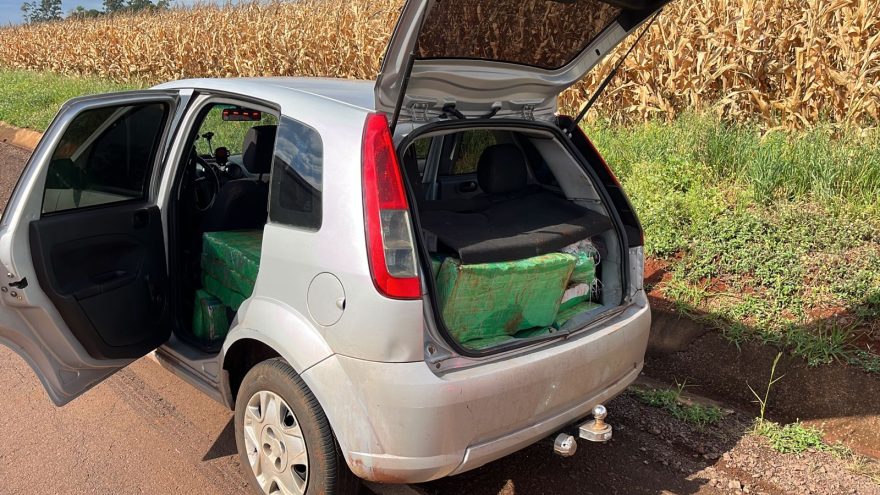 PRE de Cascavel apreende mais um carregamento de maconha na PR-317