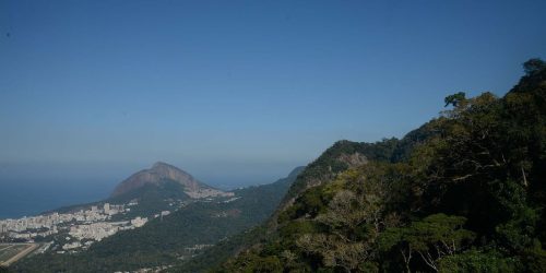 Imagem referente a Parque Nacional da Tijuca completa 62 anos