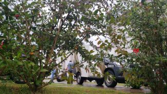 Mulher encontrada morta em banheiro de residência é identificada como Ingrid Karine Saldanha