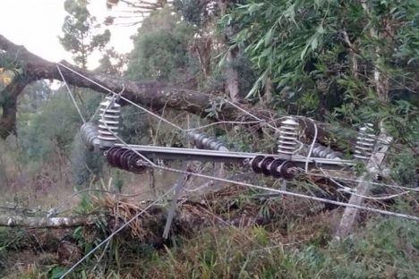 Imagem referente a Palmas, Guaíra e Foz seguem afetadas com falta de energia após temporal