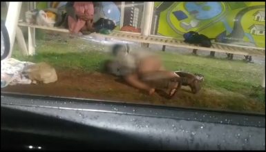 Imagem referente a Com plateia e ao lado de cachorro, casal é flagrado fazendo sexo em ponto de ônibus