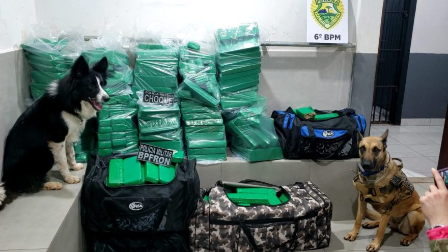 Casal é preso transportando 285 kg de maconha no caminhão, na rodovia BR-369