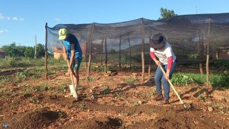 Trabalhadores pedem redução de juros para produzir alimentos no Brasil