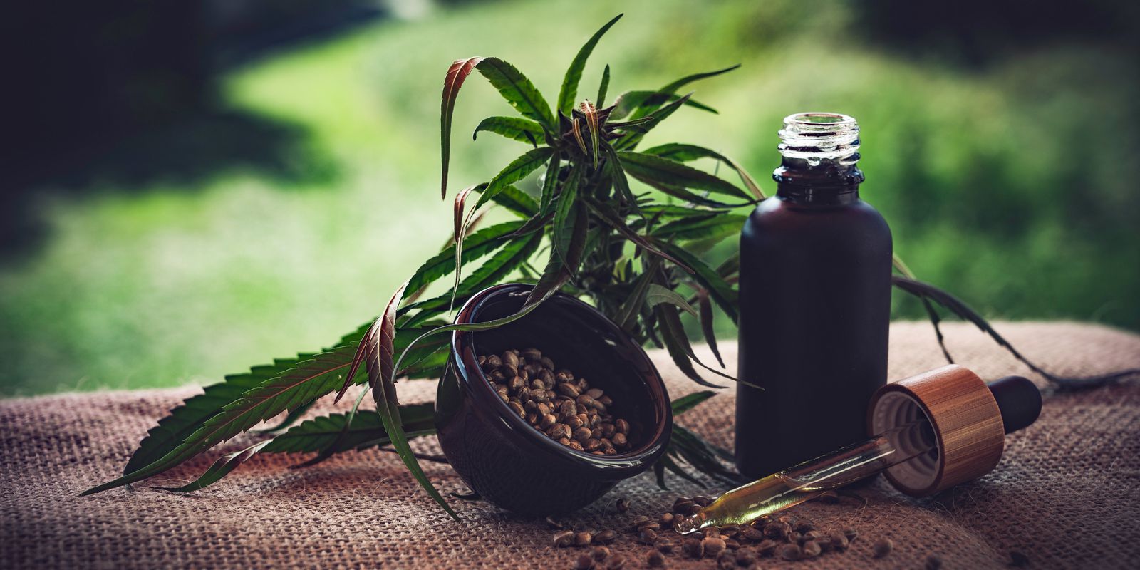 STJ autoriza três pacientes a cultivarem cannabis para fins medicinais STJ autoriza três pacientes a cultivarem cannabis para fins medicinais