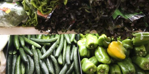 Imagem referente a Pesquisa diz que alimentos na mesa não refletem biodiversidade