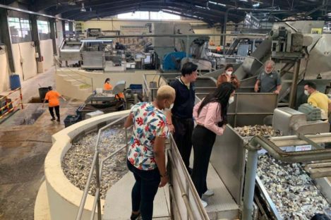 Unicentro desenvolve pesquisa sobre biodiesel de óleo da semente de seringueira Imagem referente a Unicentro desenvolve pesquisa sobre biodiesel de óleo da semente de seringueira