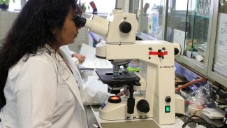 Empoderamento feminino no Brasil é médio-baixo mostra ONU