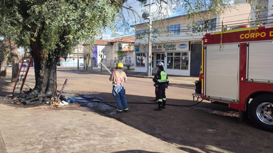 Fogo em entulho atinge árvore no Centro