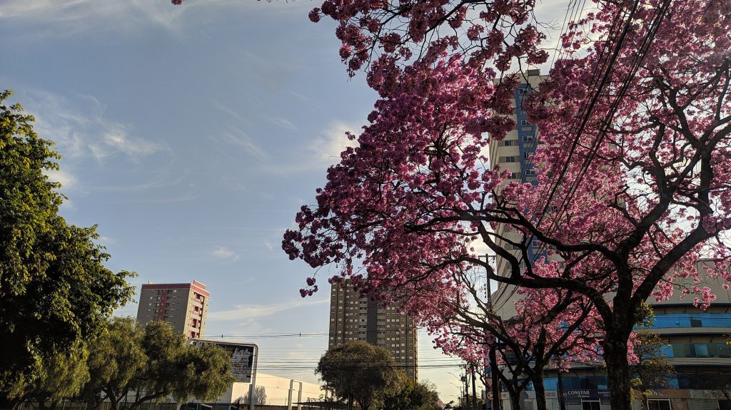 Clima estável favorece temperaturas elevadas nesta terça-feira em Cascavel Clima estável favorece temperaturas elevadas nesta terça-feira em Cascavel