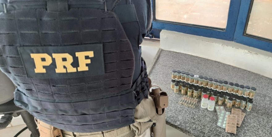 PRF apreende medicamentos anabolizantes na BR-277