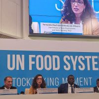 Brasil muda posição sobre liberalizar comércio mundial de alimentos