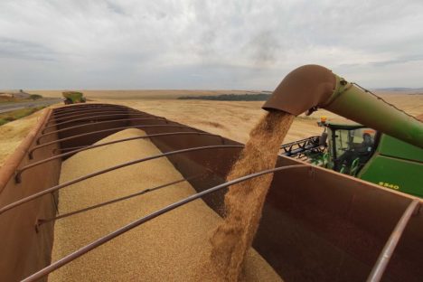 Paraná deve produzir 46,7 milhões de toneladas de grãos na safra 2022/23, aponta o Deral