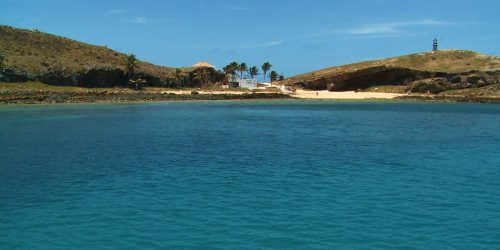 Imagem referente a Servidora do Parque de Abrolhos ganha prêmio ambiental internacional