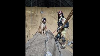 Bombeiros trabalham para retirar grãos e garantir acesso aos silos para buscar por vítimas de explosão