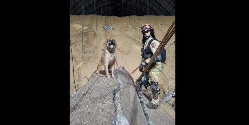 Imagem referente a Bombeiros trabalham para retirar grãos e garantir acesso aos silos para buscar por vítimas de explosão