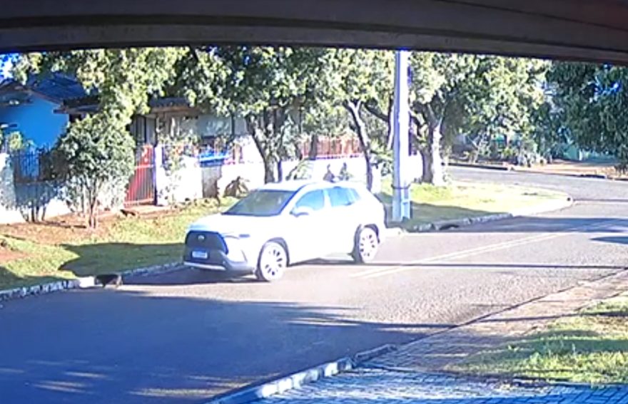 Vídeo mostra momento em que cachorrinho é atropelado no Bairro Cataratas