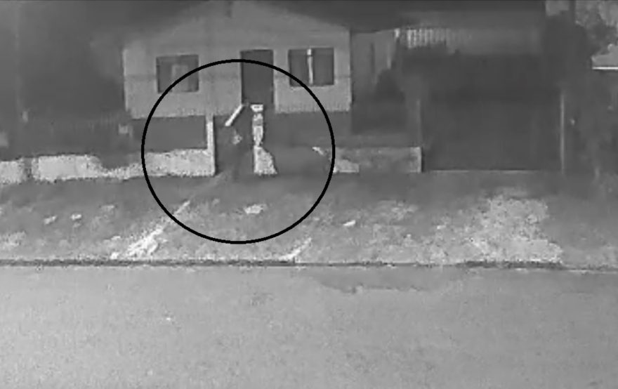 Vídeo: Ladrão disfarça, invade residência e sai de fininho após furtar TV, celular e outros objetos