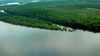 Cúpula, em Belém, será a “voz amazônica”, diz diretor da OTCA
