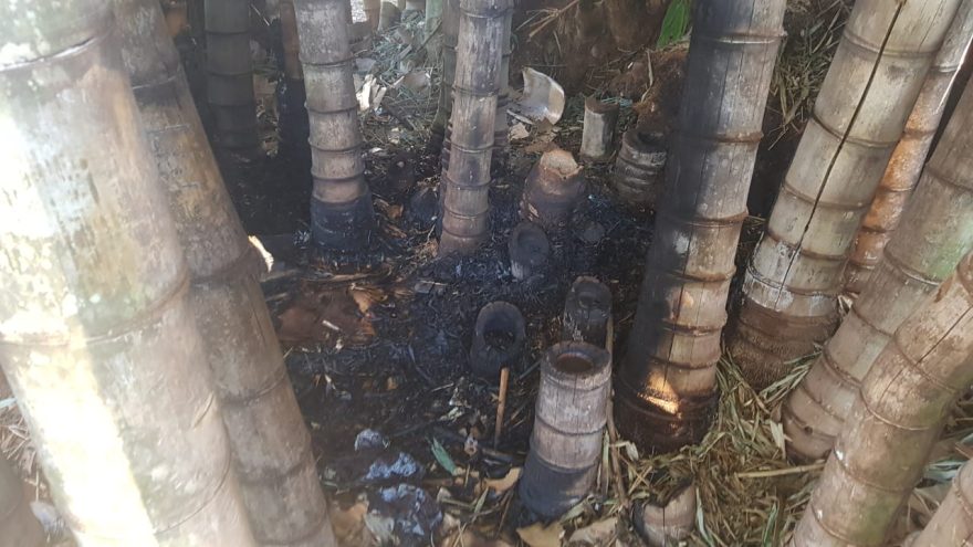 Pequeno foco de incêndio é registrado em bambuzal na Praça do Migrante