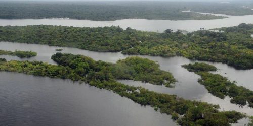 Imagem referente a Indígena diz que é preciso entender olhar de comunidades amazônicas