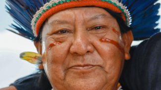 Maior terra indígena do Brasil, Yanomami contabiliza 27.152 pessoas