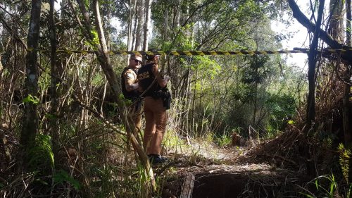 Imagem referente a Cadáver é encontrado em área de mata no Bairro Santos Dumont