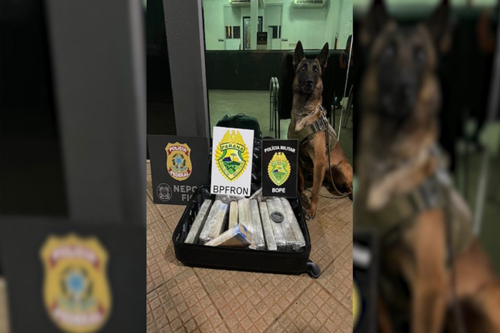 Ação conjunta apreende drogas em abordagem a ônibus em Foz do Iguaçu