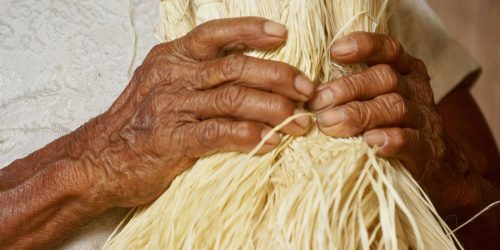 Imagem referente a Mulheres indígenas lideram projetos de geração de renda e agroecologia