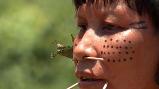 Curtas-metragens feitas por yanomami serão mostradas em Veneza