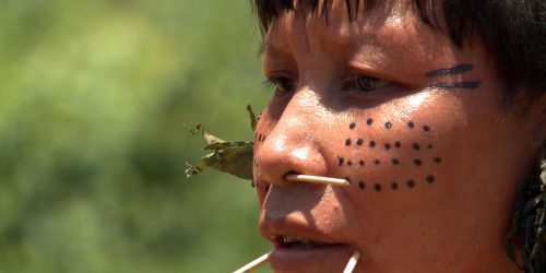 Imagem referente a Curtas-metragens feitas por yanomami serão mostradas em Veneza