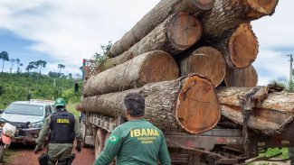 Governo autoriza contratação de 257 servidores para o Ibama