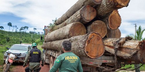 Imagem referente a Governo autoriza contratação de 257 servidores para o Ibama