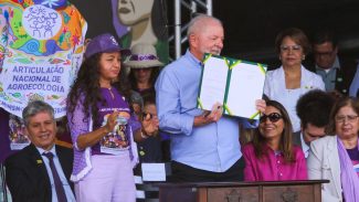 Programa de reforma agrária será retomado com foco nas mulheres