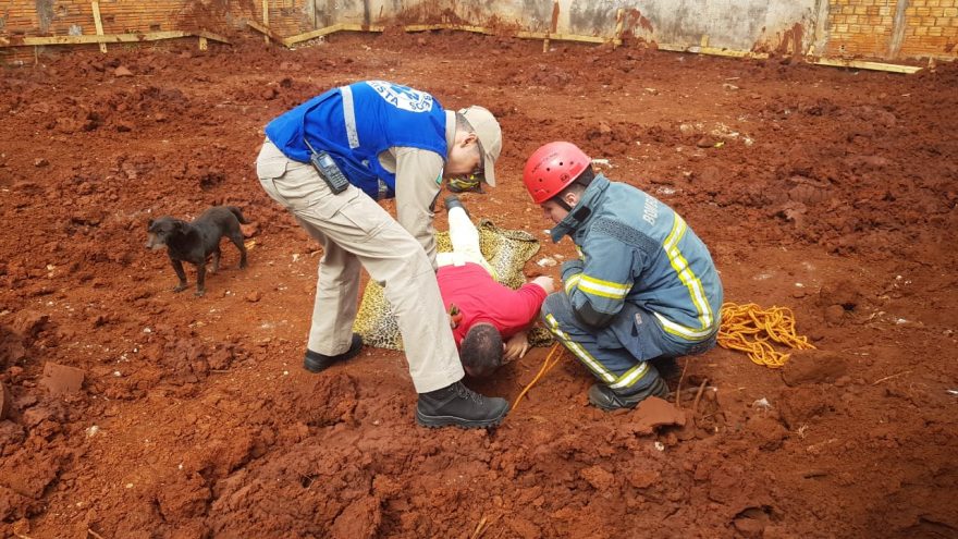 Bombeiros tentam resgate, mas cachorro morre após cair em buraco no Bairro Interlagos